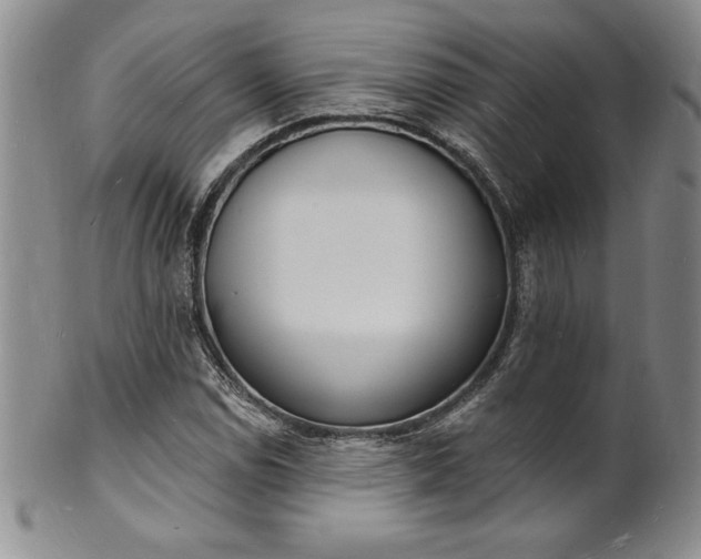 X0000101691114200807171429