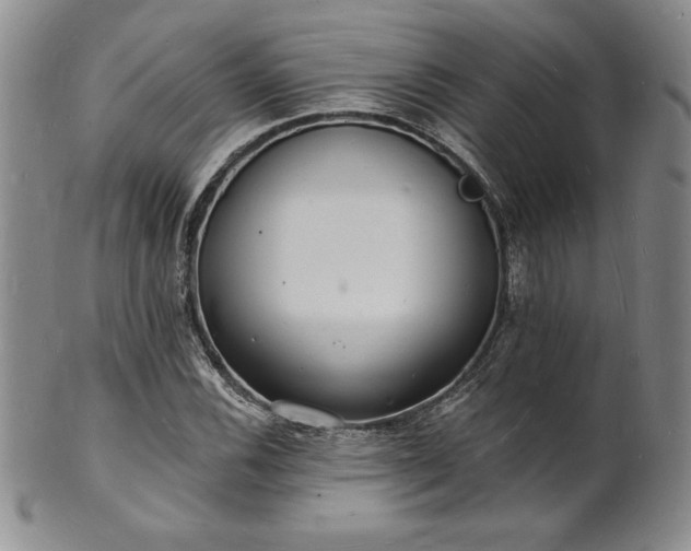 X0000101691116200807171429