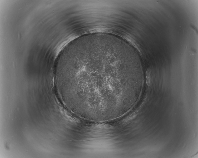 X0000101691117200807171429