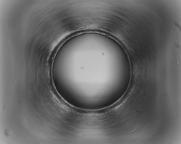 X0000101691118200807171429