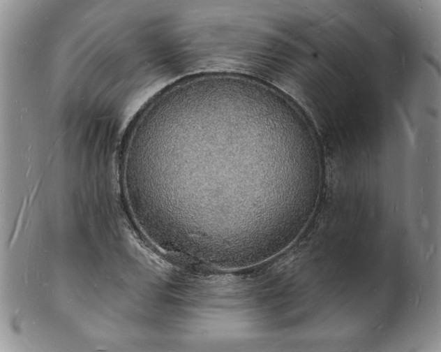 X0000101691120200807171429