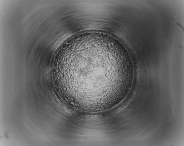 X0000101691121200807171429