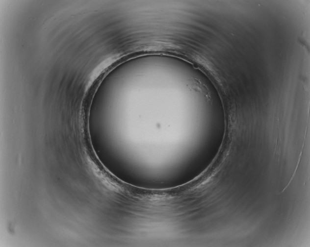 X0000101691122200807171429