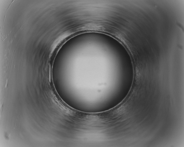 X0000101691123200807171429