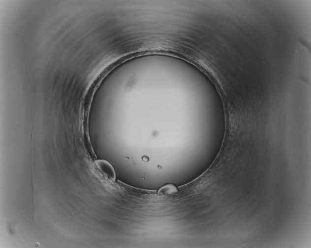 X0000101691124200807171429