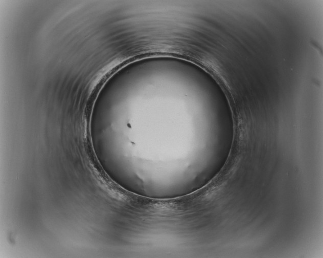 X0000101691125200807171429