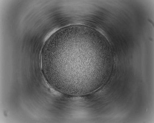 X0000101691127200807171429