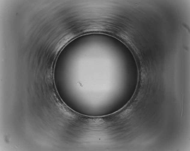 X0000101691129200807171429