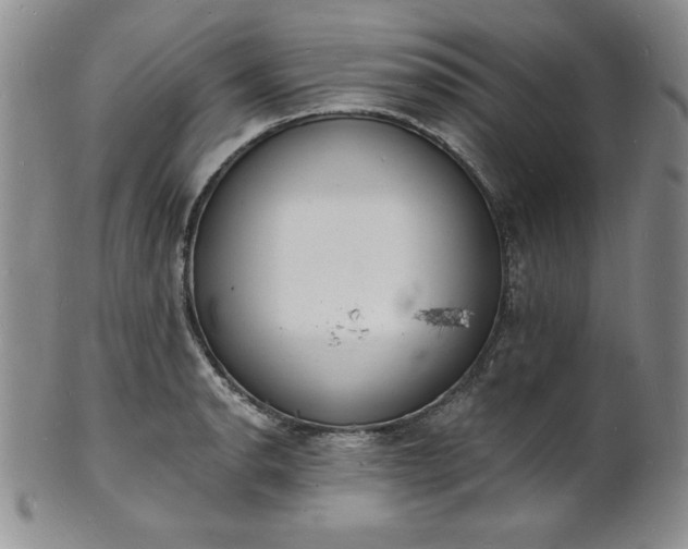 X0000101691134200807171429