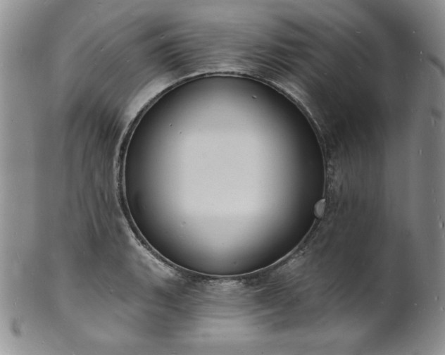 X0000101691135200807171429