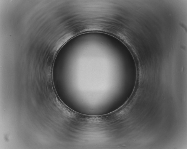 X0000101691137200807171429