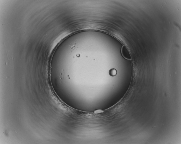 X0000101691138200807171429