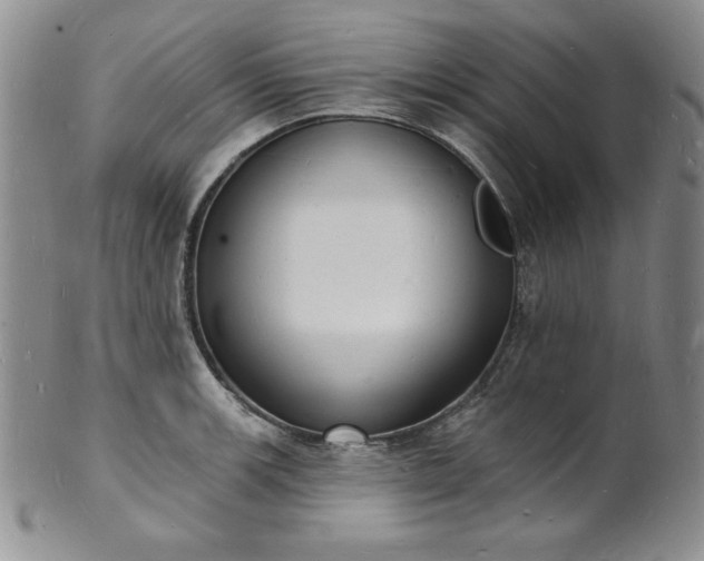 X0000101691139200807171429