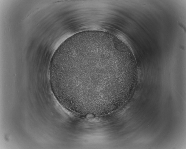 X0000101691141200807171429