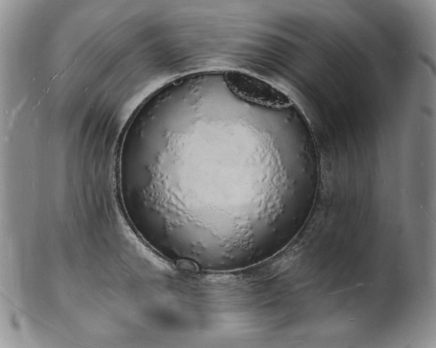 X0000101691142200807171429