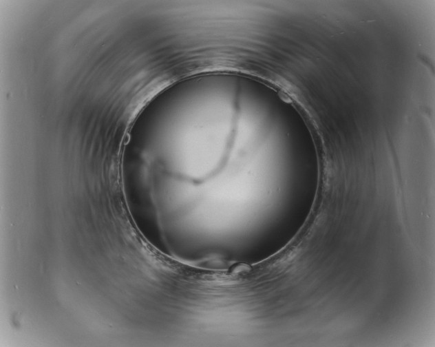 X0000101691145200807171429