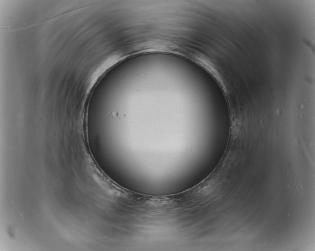 X0000101691146200807171429