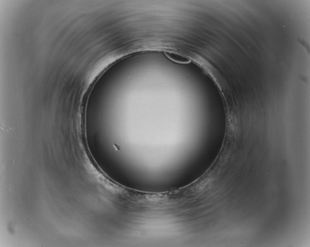 X0000101691147200807171429