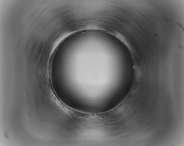 X0000101691148200807171429