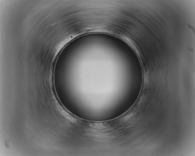 X0000101691149200807171429