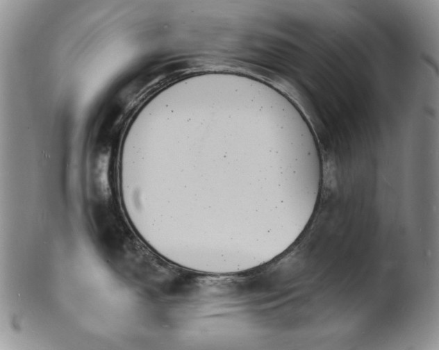 X0000101691150200807171429