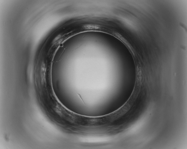 X0000101691151200807171429