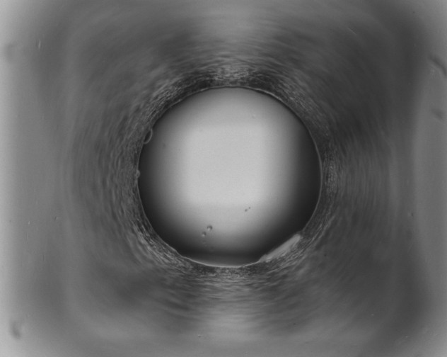 X0000101691153200807171429