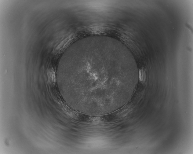 X0000101691155200807171429