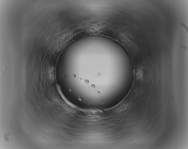 X0000101691156200807171429