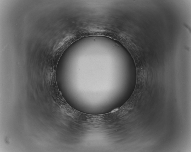 X0000101691157200807171429