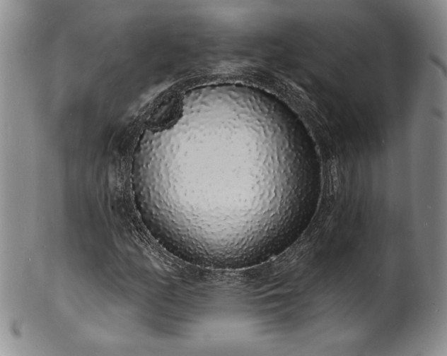 X0000101691158200807171429