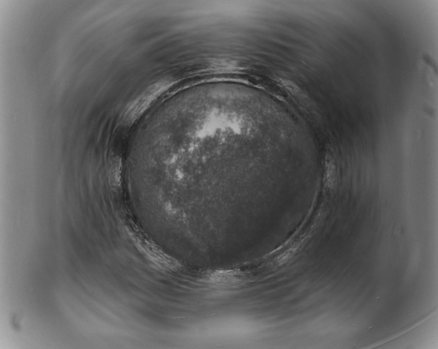 X0000101691161200807171429