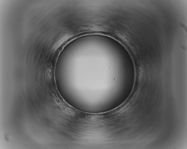 X0000101691163200807171429