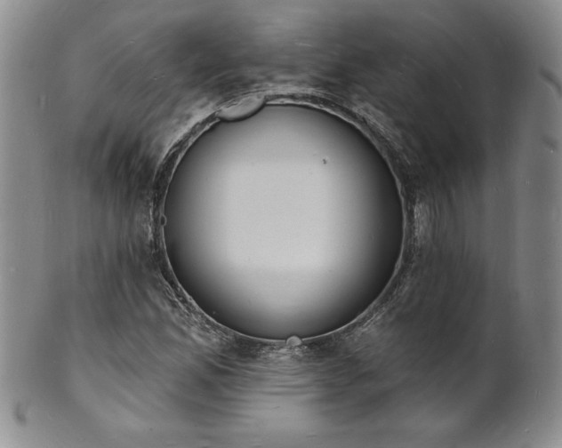 X0000101691165200807171429