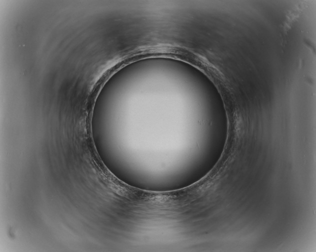 X0000101691166200807171428