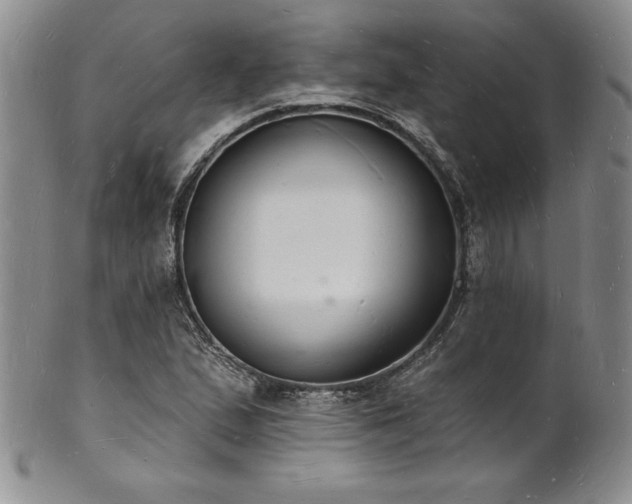 X0000101691167200807171428