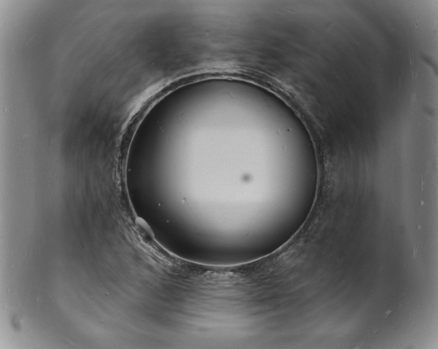 X0000101691168200807171428