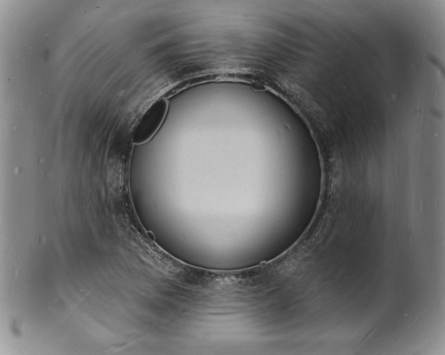 X0000101691169200807171428