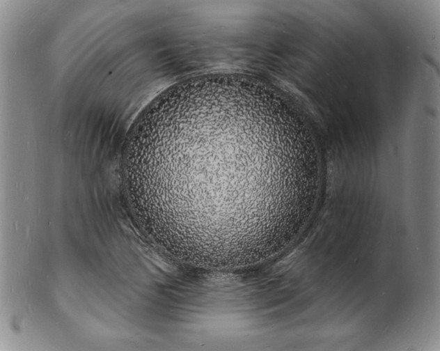 X0000101691170200807171428