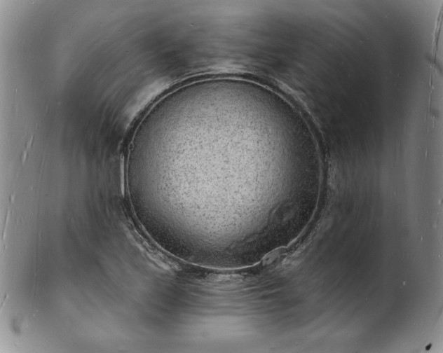 X0000101691171200807171428