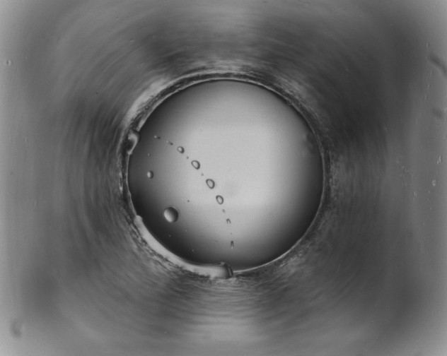 X0000101691172200807171428