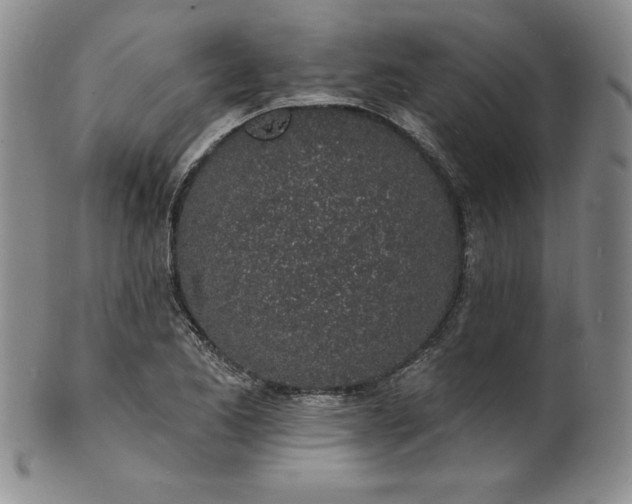 X0000101691173200807171428