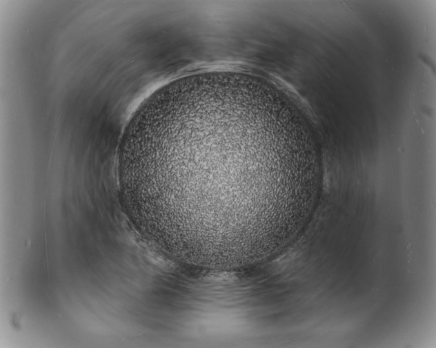 X0000101691174200807171428