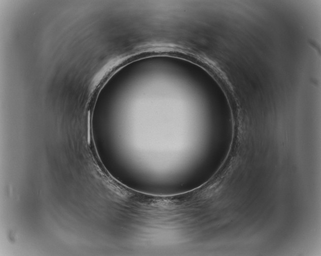 X0000101691175200807171428