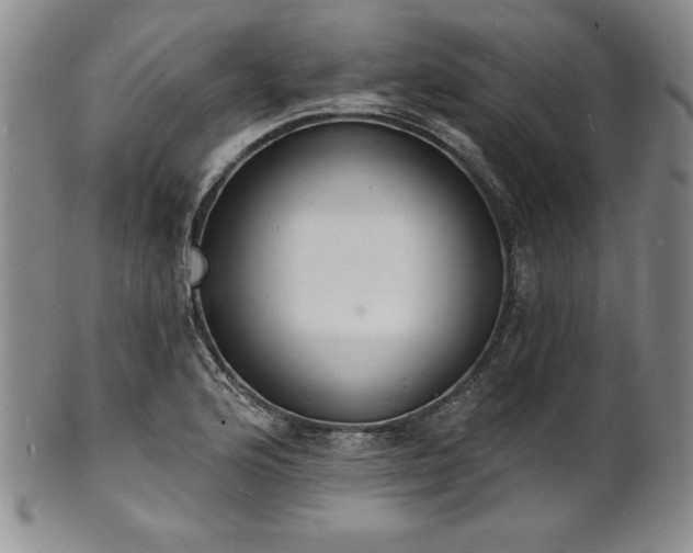 X0000101691176200807171428