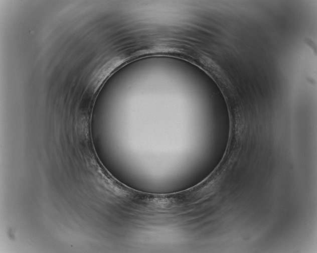 X0000101691177200807171428