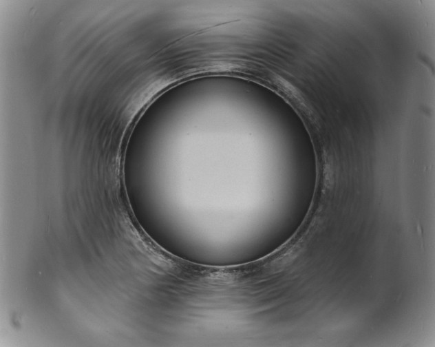 X0000101691178200807171428