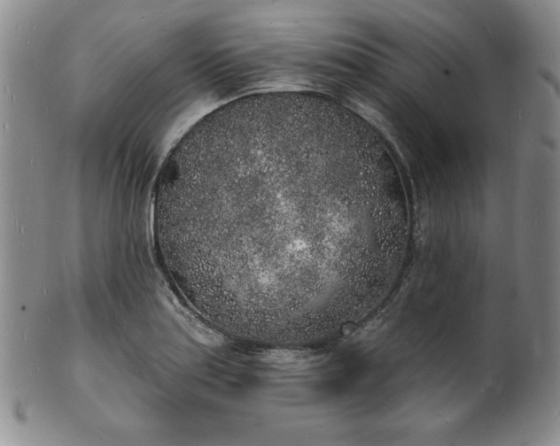 X0000101691179200807171428