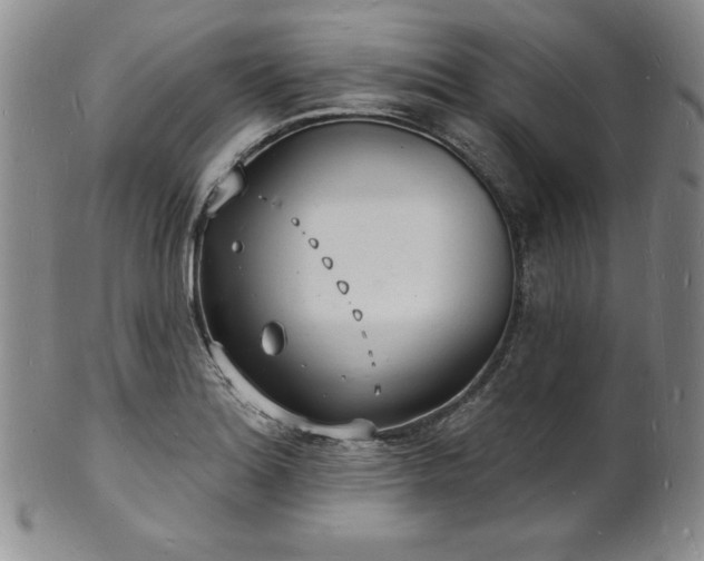 X0000101691180200807171428