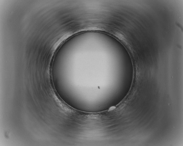 X0000101691181200807171428